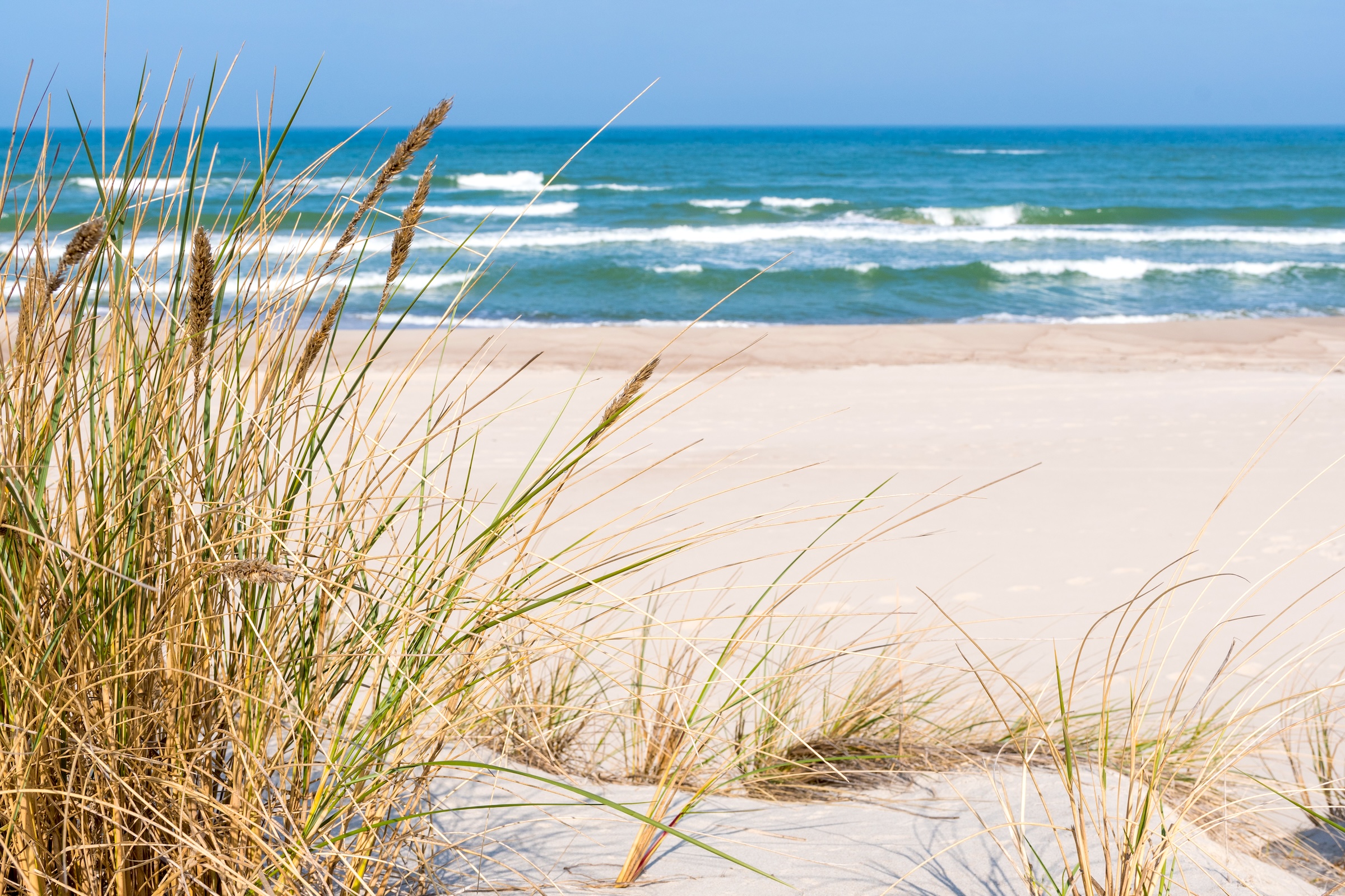 Der weiße Sandstrand der Kurischen Nehrung bei Nida - ein lohnender Abstecher nach der Ankunft in Klaipėda.